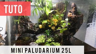 Tuto Mini Paludarium 25L