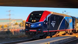 Amtrak Coast Starlight #11 with ALC-42 #349 leading on 10/15/24