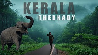 Thekkady Best Wildlife Sanctuary In India | kerala Visit places | Vlog