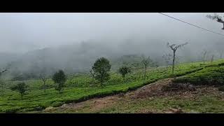 coonoor Ooty