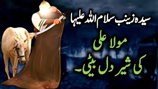 Shahadat Bibi Zainab S.A | Hazrat Bibi Zainab ka Waqia | Islam ka noor