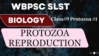 Reproduction in Protozoa// Asexual/Binary Fission