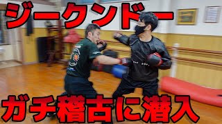 ジークンドーの普段の稽古を覗いたらガチ過ぎた【石井東吾 VS 平良さん】