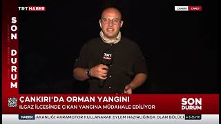 Çankırı Ilgaz’da orman yangınına müdahale sürüyor | TRT Haber