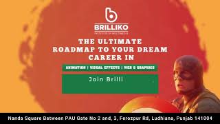 Build Your Career in Animation | Visual Effects VFX | Web and Graphics | Brilliko Institutes