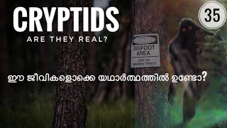 Cryptids | Are they real? | Julius Manuel | Hisstories