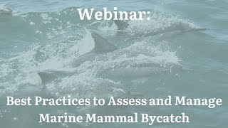 Webinar: Best Practices to Assess and Manage Marine Mammal Bycatch