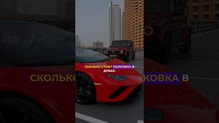 Сколько 💰стоит парковка в Дубае❓🇦🇪 #автоподбор #дубай