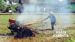 Traktor Sawah Proses Garu Lahan Tengah perKampungan