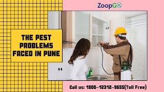 The Pest Problems Faced In Pune