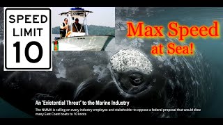 An Existential Threat to the Marine Industry