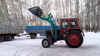 очередная погрузка пшеницы, мтз-зверь