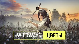 wildways — цветы