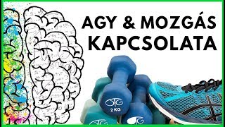 Mozgás és tanulás kapcsolata [avagy: Miért Alulértékelt a Mozgás?]