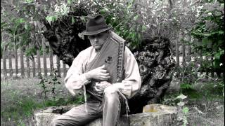 Martin Žák a autoharfa - Ve vrbovém háji / Down In The Willow Garden