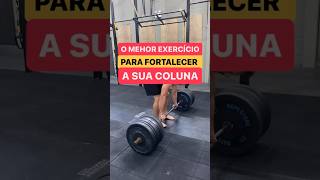 O melhor exercício para fortalecer a sua coluna #dornascostas #exercício #herniadedisco