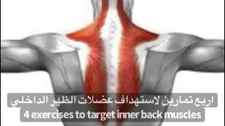 اربع تمارين لاستهداف عضلات الظهر الداخلي| 4 exercises targeting inner back