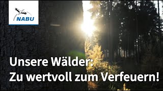 Stoppt das Verheizen unserer Wälder!