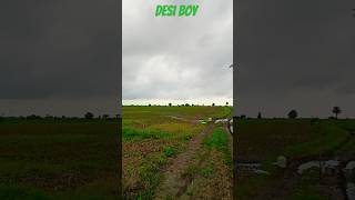 My Farm #minivlog / Arvindvlogs33/Please Subscribe my youtube channel 😎😎