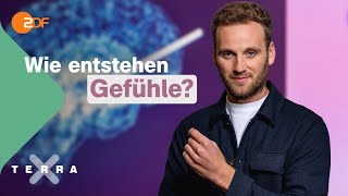 Wie steuern dich deine Gefühle? | Gute Gefühle - Show mit Leon Windscheid (Teil 1)