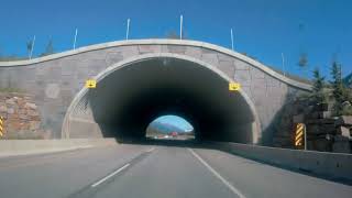 Wildlife Fences and Crossings in Banff National Park