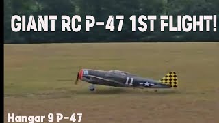 First Flight Thrills: Hangar 9 P-47 Takes To The Skies!