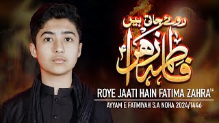 ROYE JAATI HAIN FATIMA ZEHRA(sa) | DANIYAL ALI KAZMI | NEW AYAM E FATIMYA NOHA |1446/2024 |