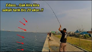 Edass..‼️ Gak kira kira sekali tarik bisa 20 ekor naik mancing ngotrek di muara baru