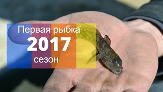 Моя первая рыба или как мы ловили бычков