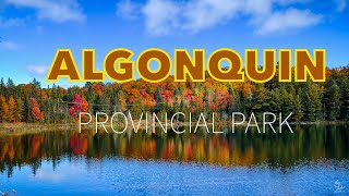 Autumn Colors in Algonquin Provincial Park, ON | Fall Foliage Day Trip