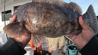 Spring Togging in DE| No Limit Sportfishing