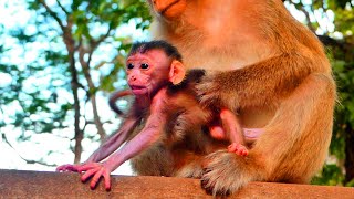 Wow ! Baby cute JESSY tries to moves out of mom - cos she want learn to walk