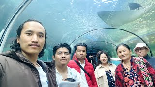 Sydney tour I Sea Life Sydney Aquarium I Opera House I Ferry Travel  I Light Rail 4K HDR