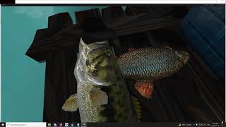 VPVR FT Animated fishes