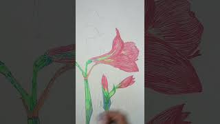 Amaryllis Flower Drawing with Neon Pens shading #Full video