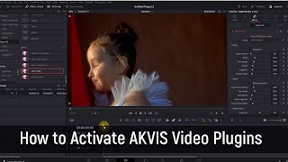 Как активировать плагины AKVIS для видео