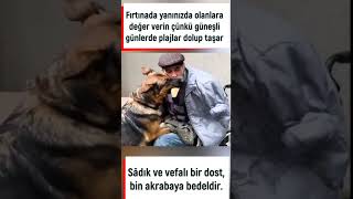 Sâdık ve vefalı bir dost, bin akrabaya bedeldir