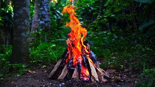 Soothing Campfire & Nature Sounds in 4K | Crackling Fire Ambience for Deep Sleep & Relaxation