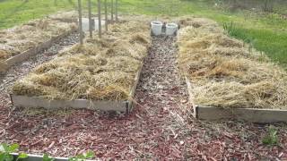 Redoing container soil  ,and first look at the garden