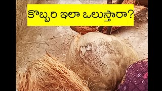 కొబ్బరికాయ ఇలాగ కూడా ఒలుస్తారా? Peeling Coconut Technique |#shorts #mallimoggalasubbayya #ytshort