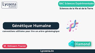 BAC | SVT | Génétique humaine : Conventions Utilisées pour ire un Arbre Généalogique
