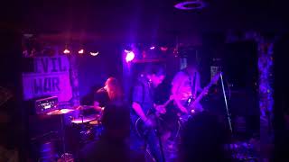 ‘Nutbush City Limits (@tinaturner cover) by Jukebox Monkey, live at CWL XIII at the Hope & Anchor