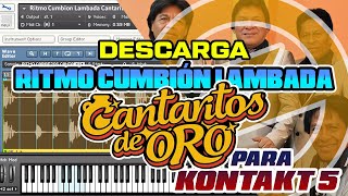 DESCARGA RITMO CUMBION LAMBADA CANTARITOS (PARA KONTAKT 5)