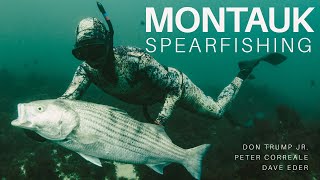 Montauk Spearfishing