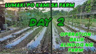 Lumaki po kami sa Farm. Operation balik alindog ng farm Day 2