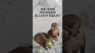 어린이대공원 탈주사건