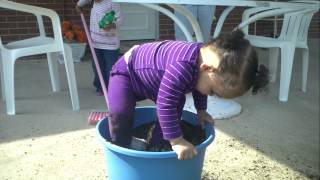 Baby plays in flower pot