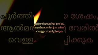 കാമിക നാളിൽ കടബാധ്യത നീങ്ങുവാൻ ഇങ്ങനെ ചെയ്‌താൽ മതിയാകും||