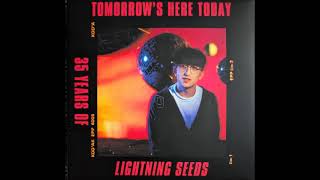 Five From The Lightning Seeds