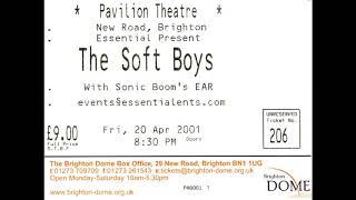 The Soft Boys live at the Pavilion Theatre, Brighton, 2001